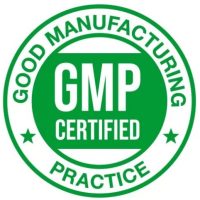 GMP LOGO