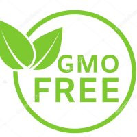 GMO free icon. Healthy organic food concept. No GMO design element for tag, product package, food symbol, emblems, stickers. Healthy, eco, vegan, bio labels. Vector illustration.